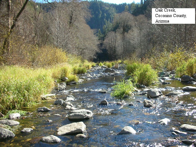 Oak Creek