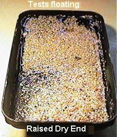 floaters.jpg (38770 bytes)