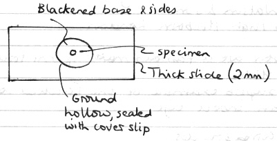 dwslideq1.jpg (27327 bytes)