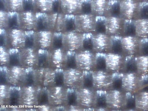 silk.jpg (40950 bytes)