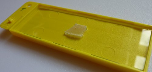 Bone
                      chip bonded to slide